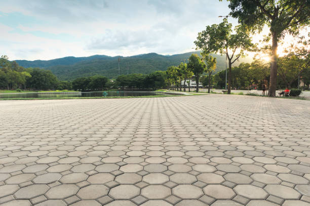 Best Interlocking Driveway Pavers  in Bloomington, TX